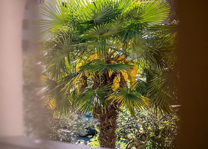 Palma Apartman Malinska